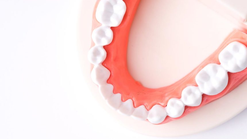 Partial Dentures Partial Dentures